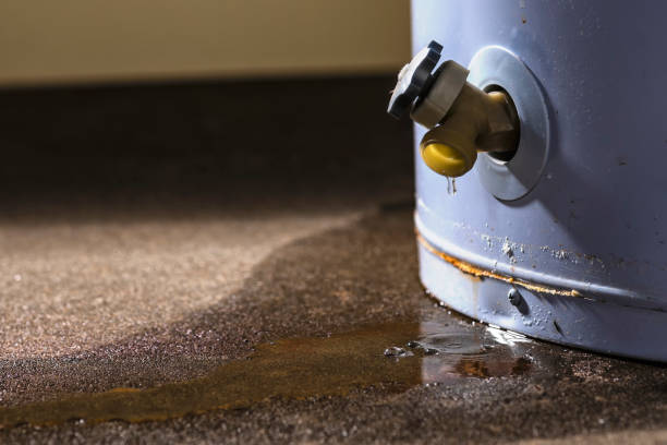 Best Commercial water damage restoration  in Evansville, IN