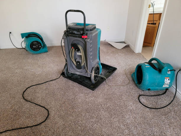 Best Mold removal after water damage  in Evansville, IN