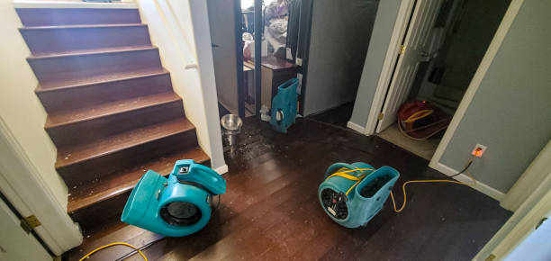 Best Sewage cleanup and water damage restoration  in Evansville, IN