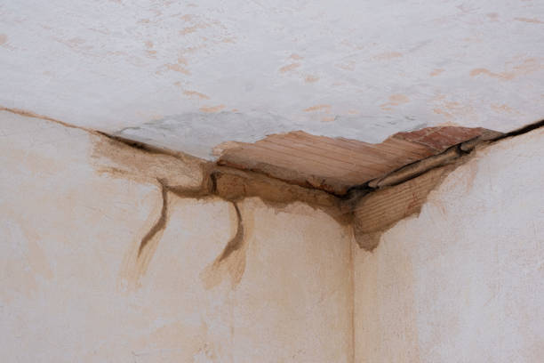 Best 24/7 water damage repair  in Evansville, IN