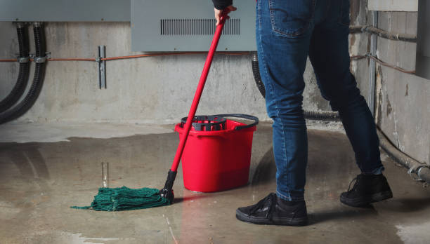 Best 24/7 water damage repair  in Evansville, IN