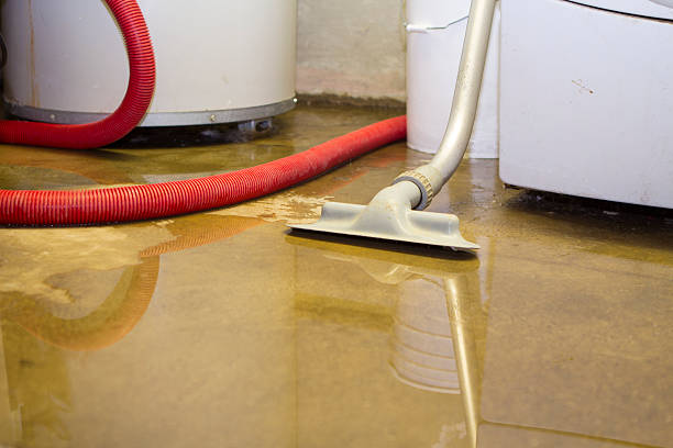 Best 24-hour water damage restoration  in Evansville, IN