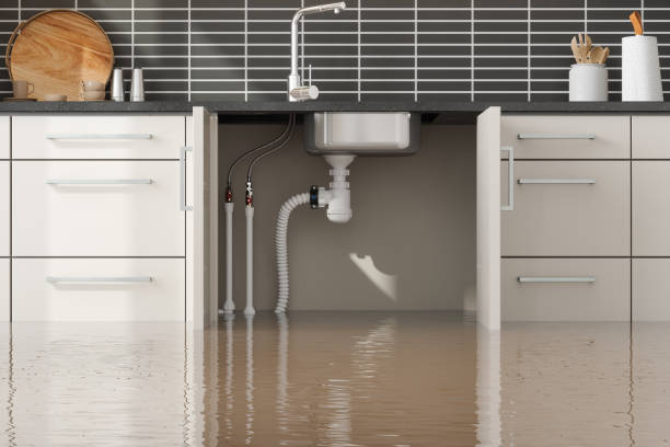 Best Ceiling water damage repair  in Evansville, IN