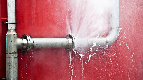 Best Carpet water damage restoration  in Evansville, IN